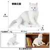 colorato PL127-3347 Il gatto nel palazzo