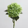Verde chiaro