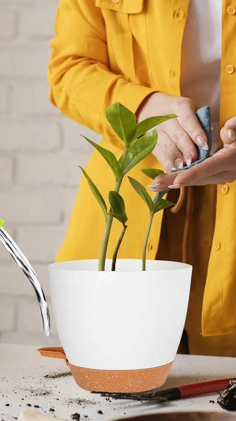 Santino 6.7 Inch Deco Self Watering Pots for Indoor Plants in Lavender –  Gardenera.com, image size:752x1339