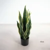 Vert-55cm