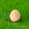 colorful 8 Bird eggs