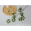 Guanyin Lotus Short Branch - with Pink Flowers