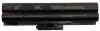 VGP-BPS21