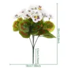 AHF665-280-5 white