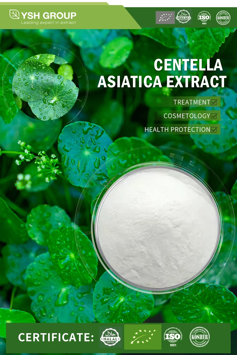 Centella Asiatica Extract 10%-80% Gotu Kola Extract Centella Asiatica ...