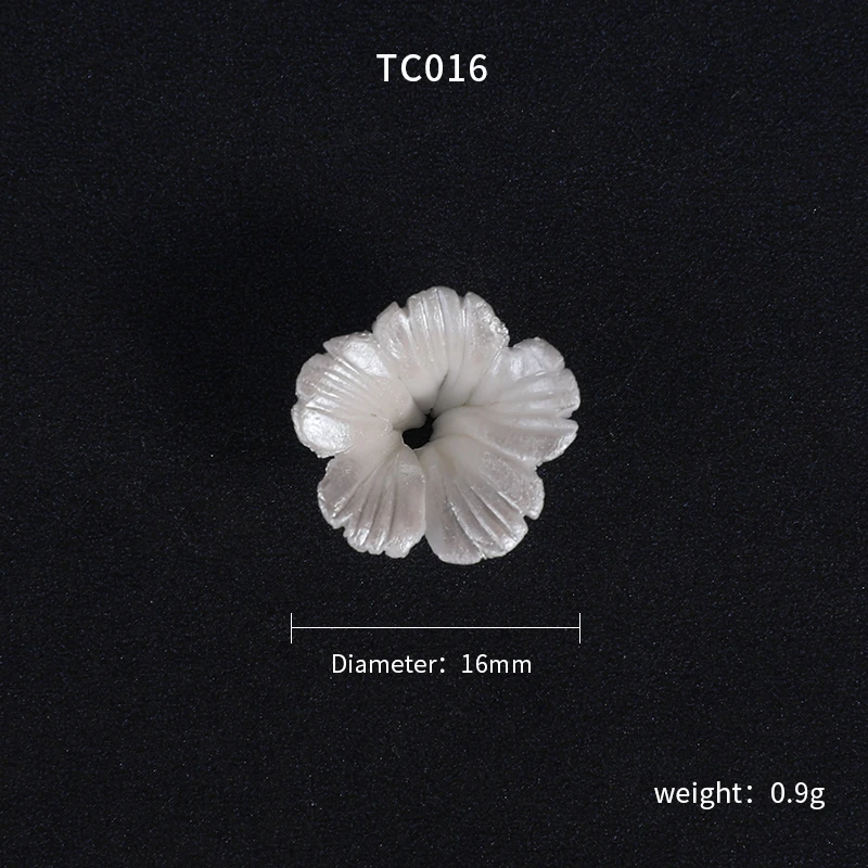 TC016.JPG