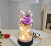 Purple - acrylic cover + box