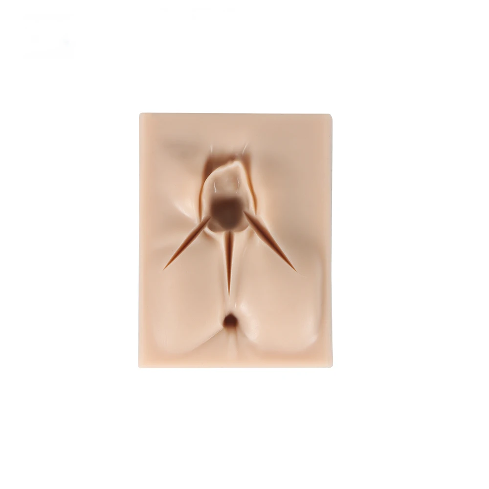 外阴会阴会阴侧切缝合模拟器缝合训练模型套件3伤口