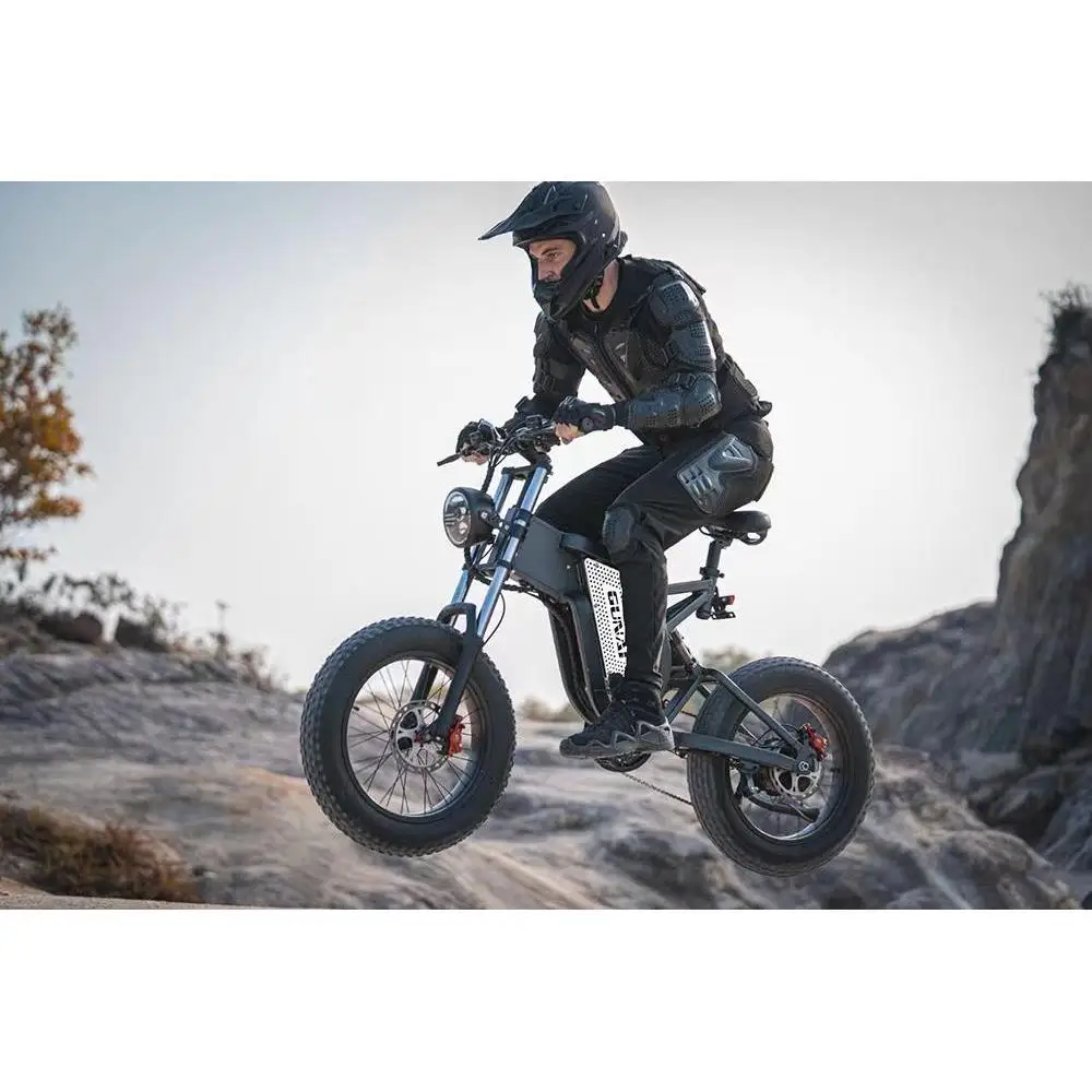 GUNAI MX25 1000W Brushless Motor Electric Mountain Bike with 20*4,0 Inch Fat Tire 50 km/h Top Speed 48V 25Ah