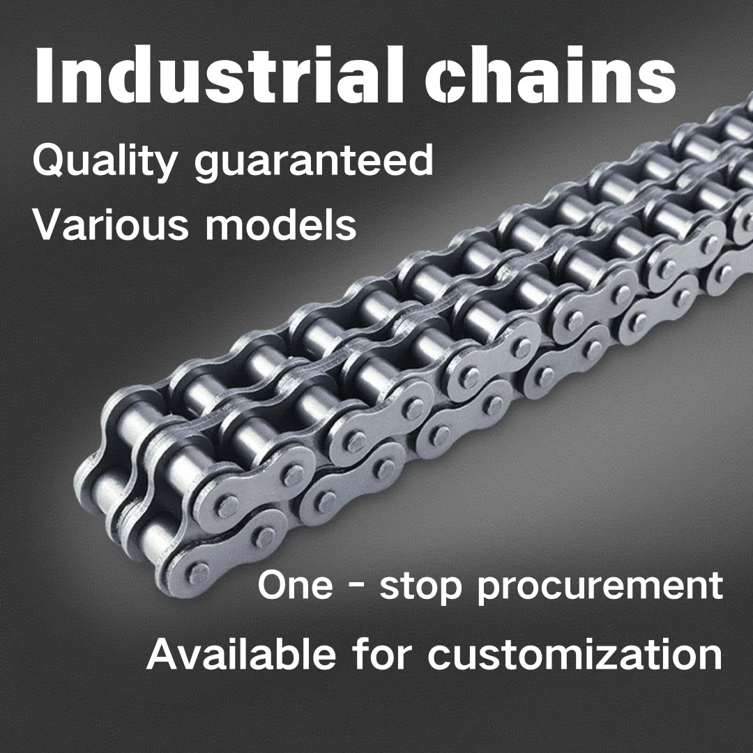 Catena Di Trasporto In Plastica - RSP - Tsubakimoto Chain - A Maglie - Foto 10