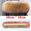 Length 60cm Width 18cm