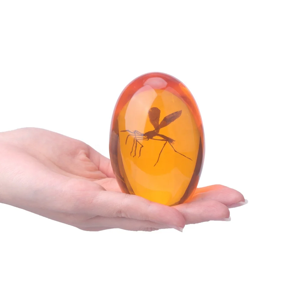Hot Sell Custom Amber Paperweight with Mosquito Inside