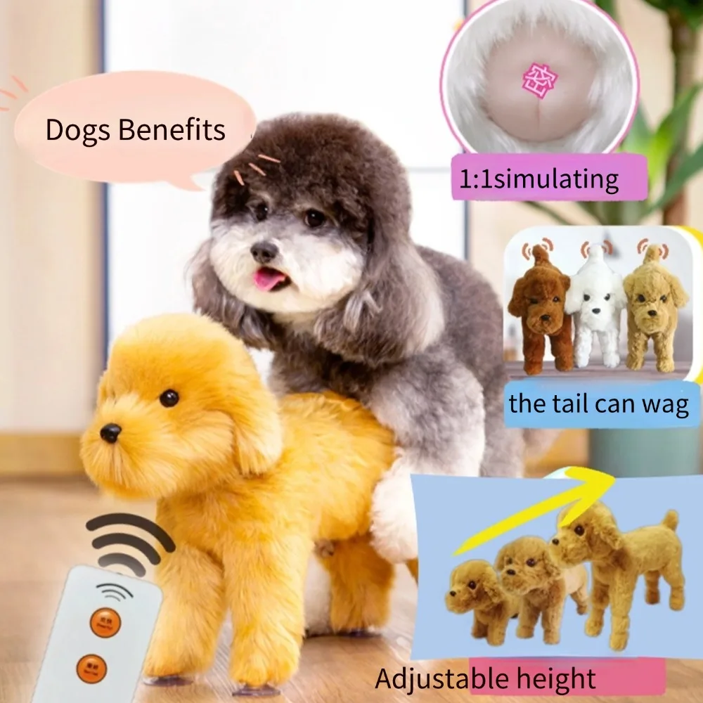 sex toy for dogs Ormandy Glass Decanter Pink main image 0