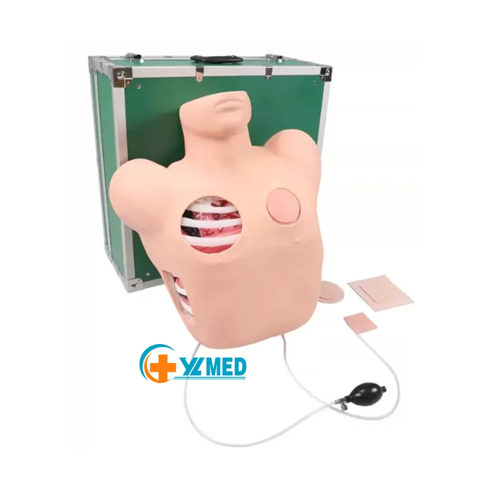 Human Pathological Anatomy Model Thoracic Pleural Drainage for Medical Science Teaching for Nurse Training and School Use