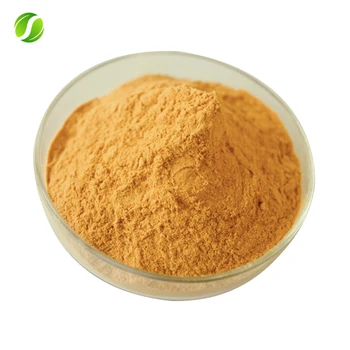 Factory Supply Orange Peel Citrus Aurantium Peel extract Powder
