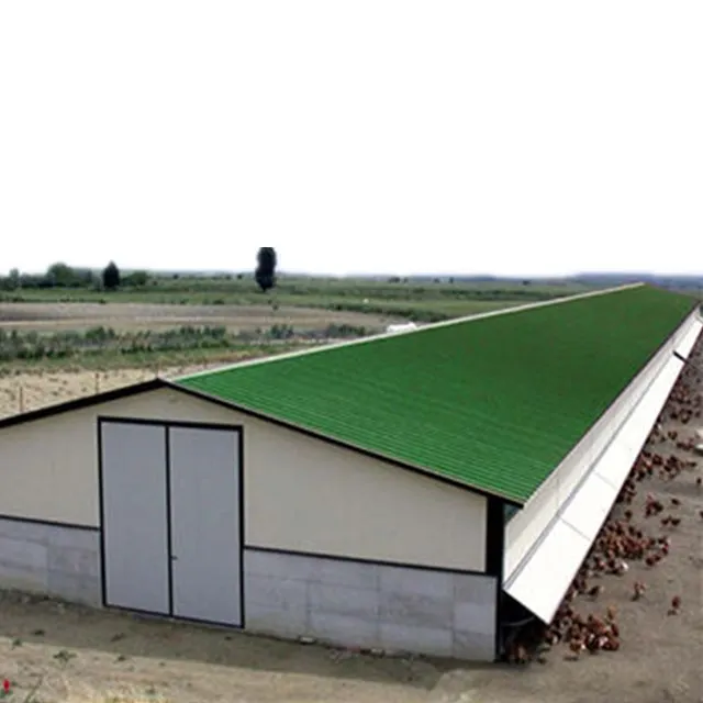 1200 M2 Large Span Prefab Steel Structure Poultry Farm Shed for Broiler Fatten Chicken Poultry House