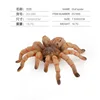 ZQ1689 Tarántula 18,7G