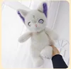 Coquille de peau de chat sorcière 40cm