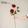 Large Red Three-Headed Yangfei Peony