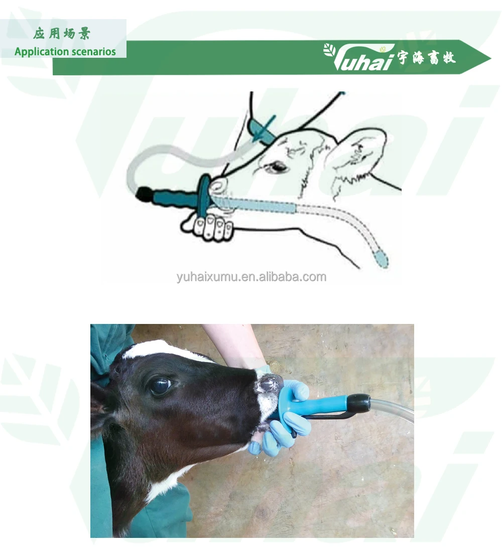 product calf feeding bottle with probe tube 4l  calf drencher feeder kit for newborn calves  farm livestock feeding equipment-2