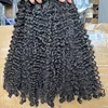 burmese curly