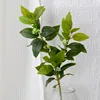 3 petites fleurs blanches fourchues