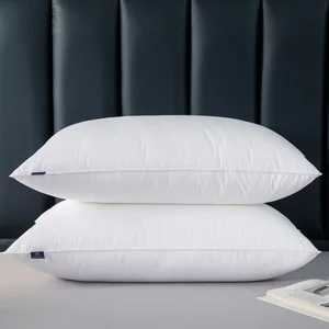 Wholesale Custom Luxury Neck 600g-1200g High Weight Filling 2 Edging Hotel Bed Pillow