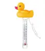 Forme de plongeon