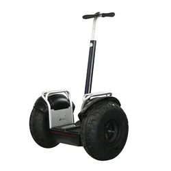 3200W Powerful 19inch APP Control Smart Balanced Electric Scooter Trotinete Eletrica Golf Chariot