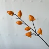 Golden Fruit