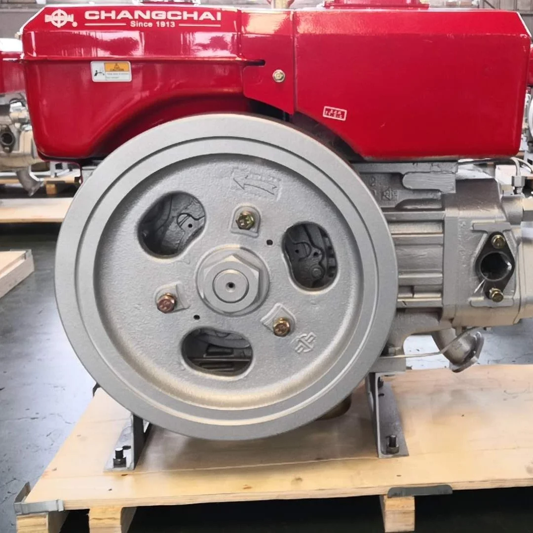 Changchai Single Cylinder diesel Engine ZS1110