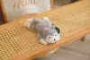 husky gris