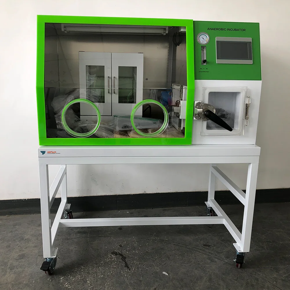 Lai3t High Quality Incubator Laboratory Medical Bacteria Incubator