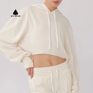 Manufacturers Custom Brand Logo Blank Cropped Pullover Fleece Cotton Hoodie High Quality Fashion Streetwear comfort Hoodie