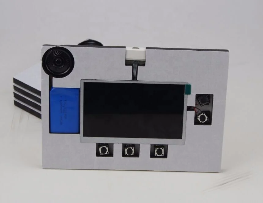 video module picture