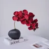 Black 10 stems, phalaenopsis orchid red 1 stem