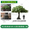 Enlace de depósito de árbol de banyan de varias barbas de 4 m de alto y 5 m de ancho