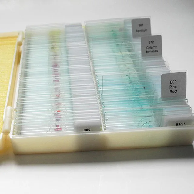 Students 100PCS Shockproof Prepared Slides For Biology