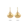 NMSE-D155-gold