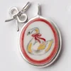 005 Cigno bianco