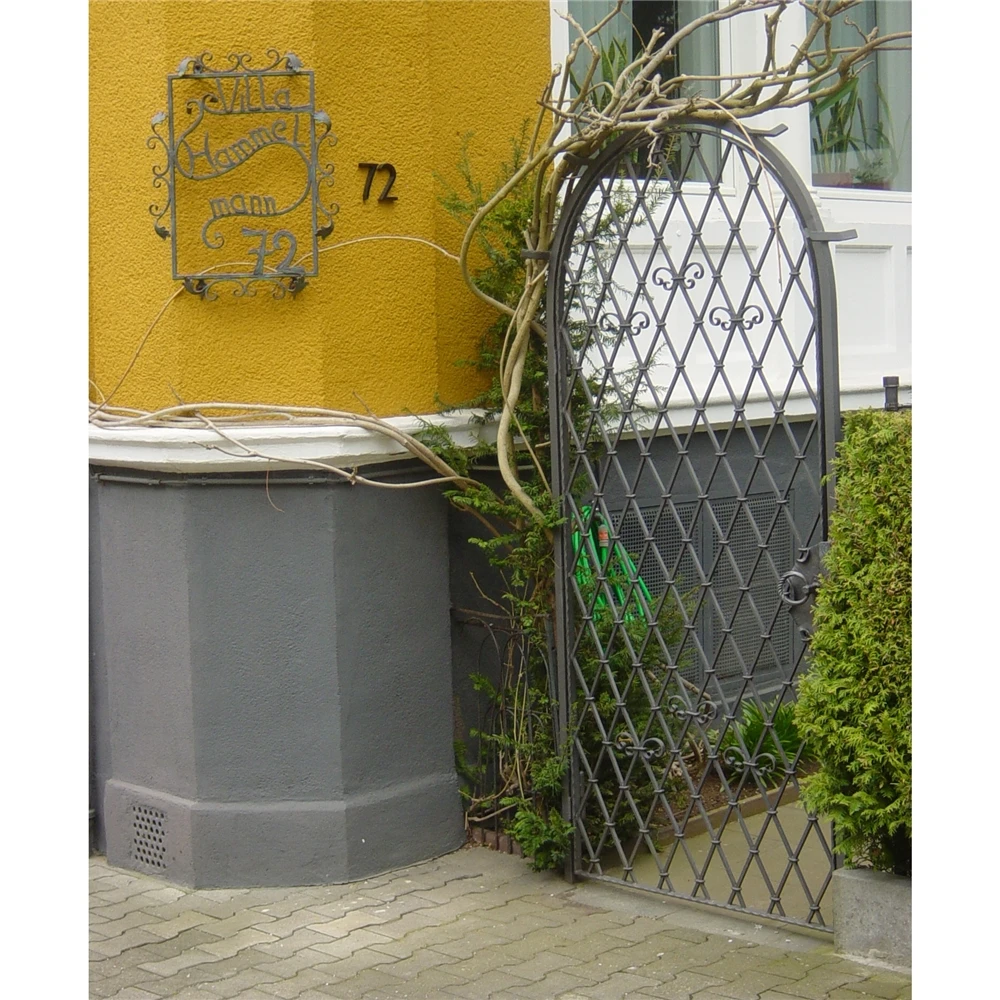 Hand Made Iron Flower Different Steel Gate Designs