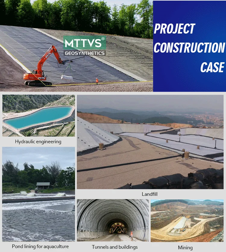 geomembrane case