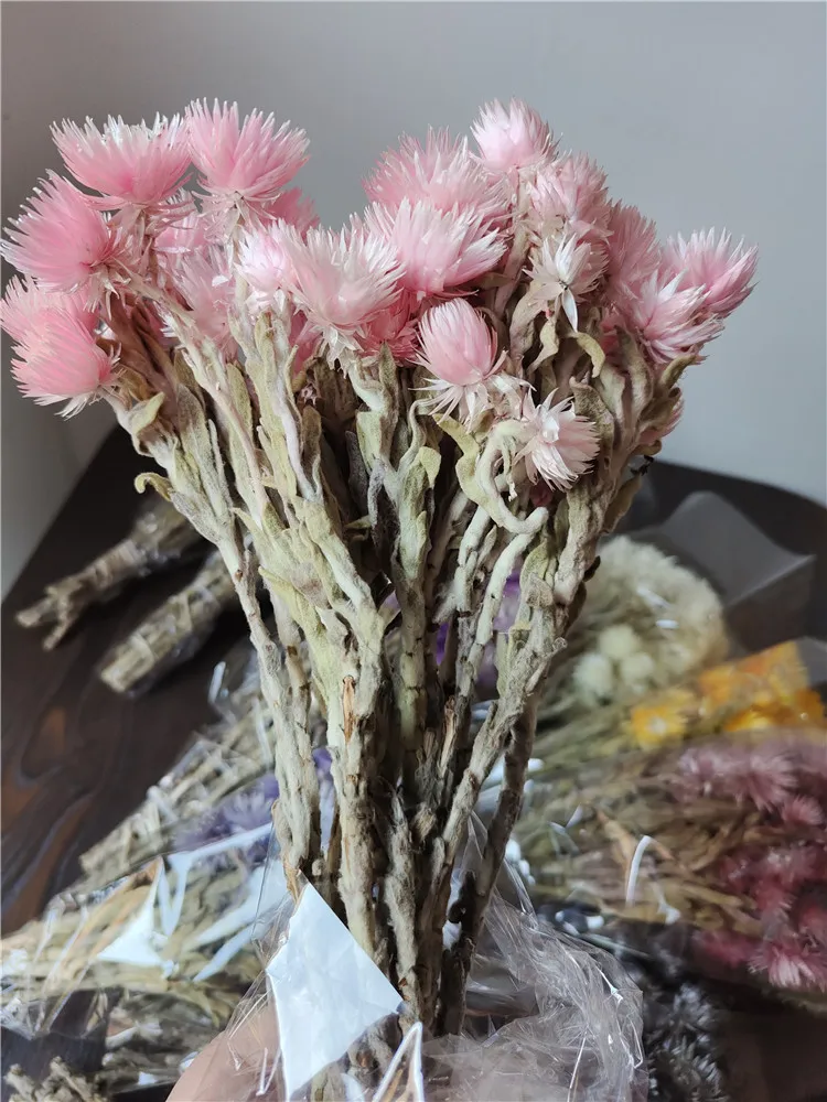 Wholesale Price Natural Dried Flowers Syncarpha Vestita Real Everlasting Long Lasting Dried
