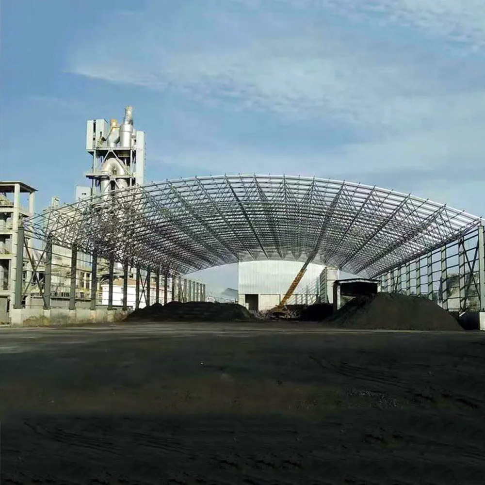 Professional Design Steel Space Frame Structure Arched Roof Construction Structure