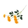 naranja