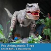 Pro Trex-6m(19.68ft)-   6 Movements