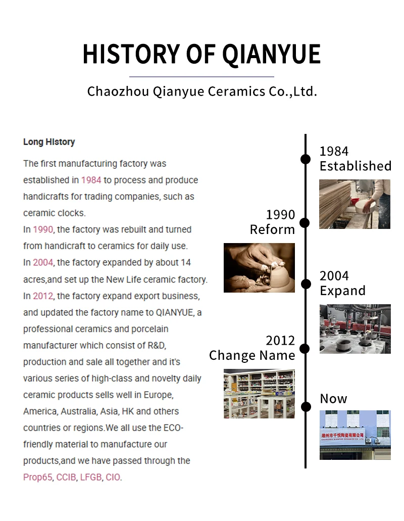 Company History