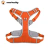 color naranja