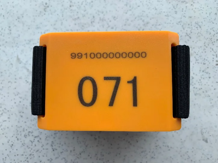 Новый GPS-шагомер FOFIA для крупного рогатого скота, противоугонное управление, защита от потери, определение местоположения животного