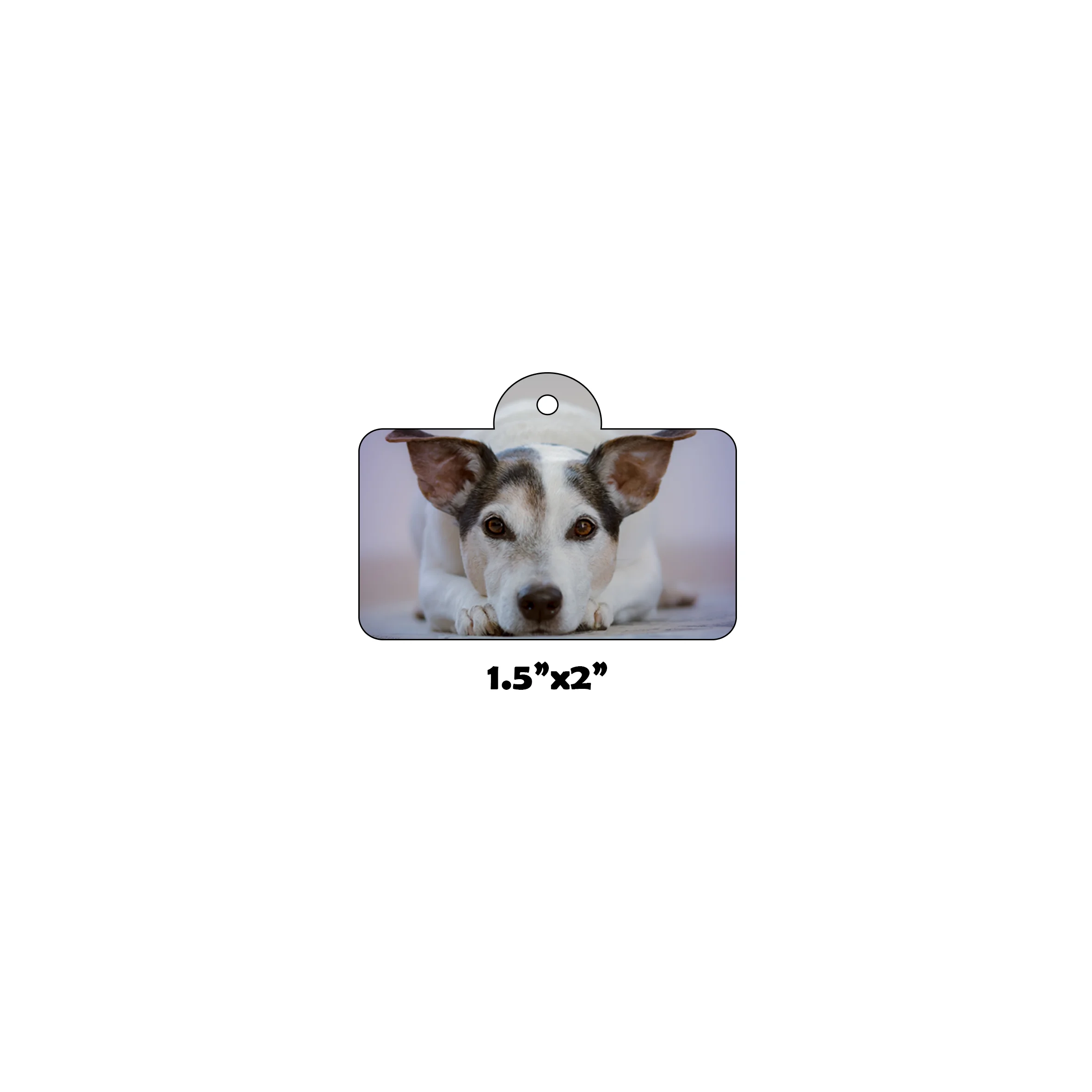 Popular Selling Aluminum Dye Sublimation Dog Tag Blanks Pet ID